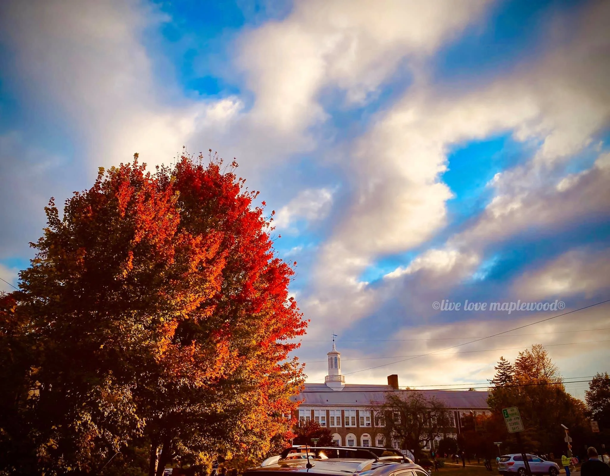 3Fall foliage 2019.JPG