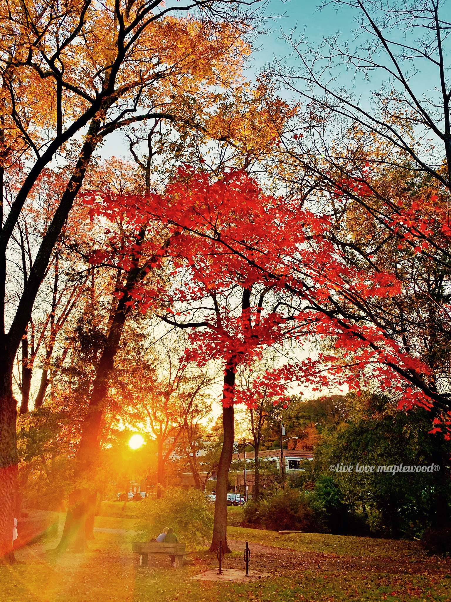 5Fall foliage 2019.PNG