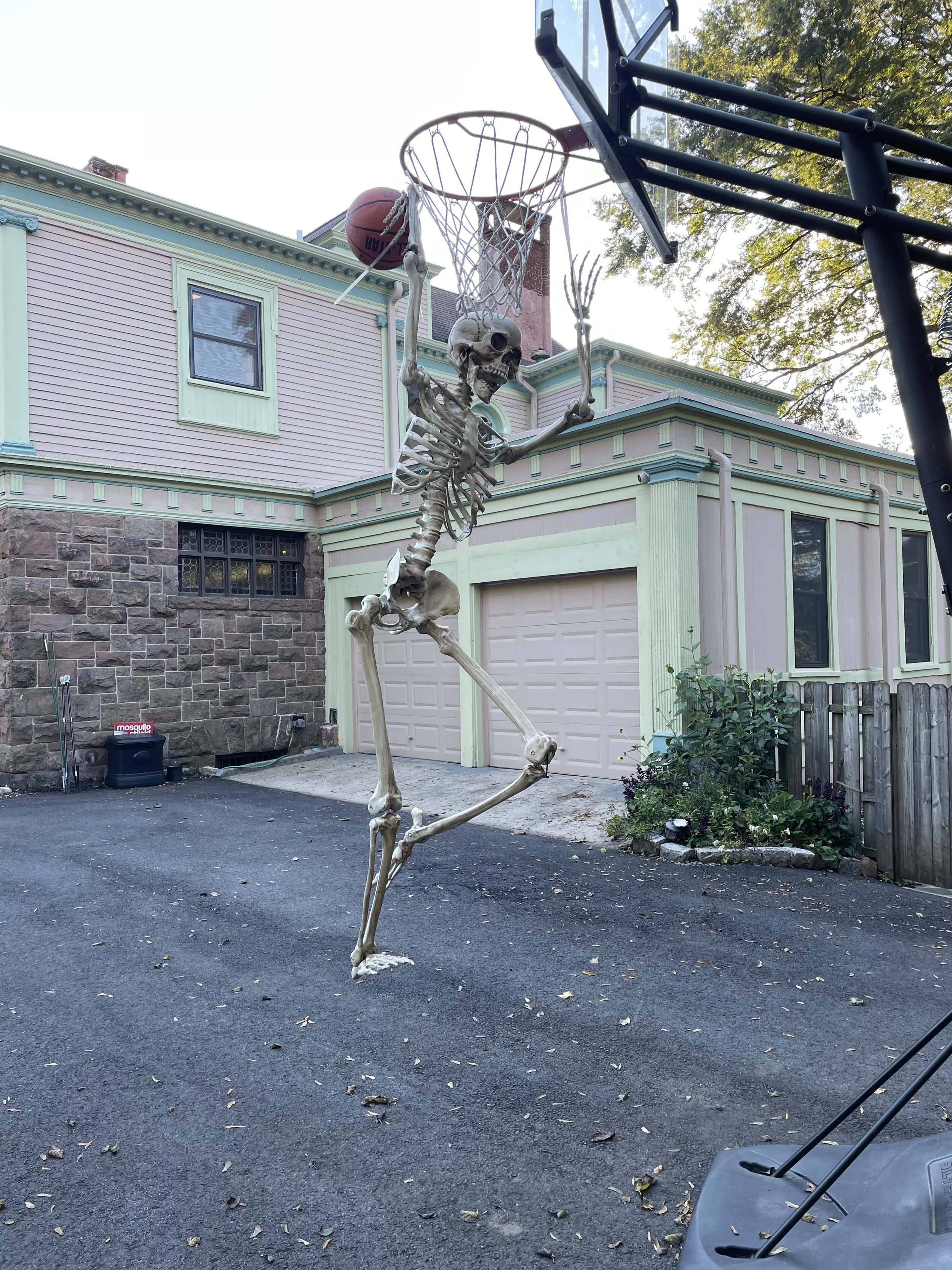 255 Scotland Rd SO_9930.jpeg