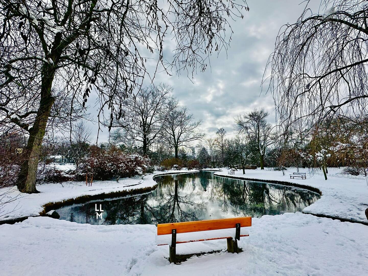 It&rsquo;s hard to pick a favorite! I love SOMA in the snow. What a beautiful day. Did you get outside or were you cozy indoors?? Flood&rsquo;s Hill was packed! ☃️❄️🛷🪵 #livelovemaplewood