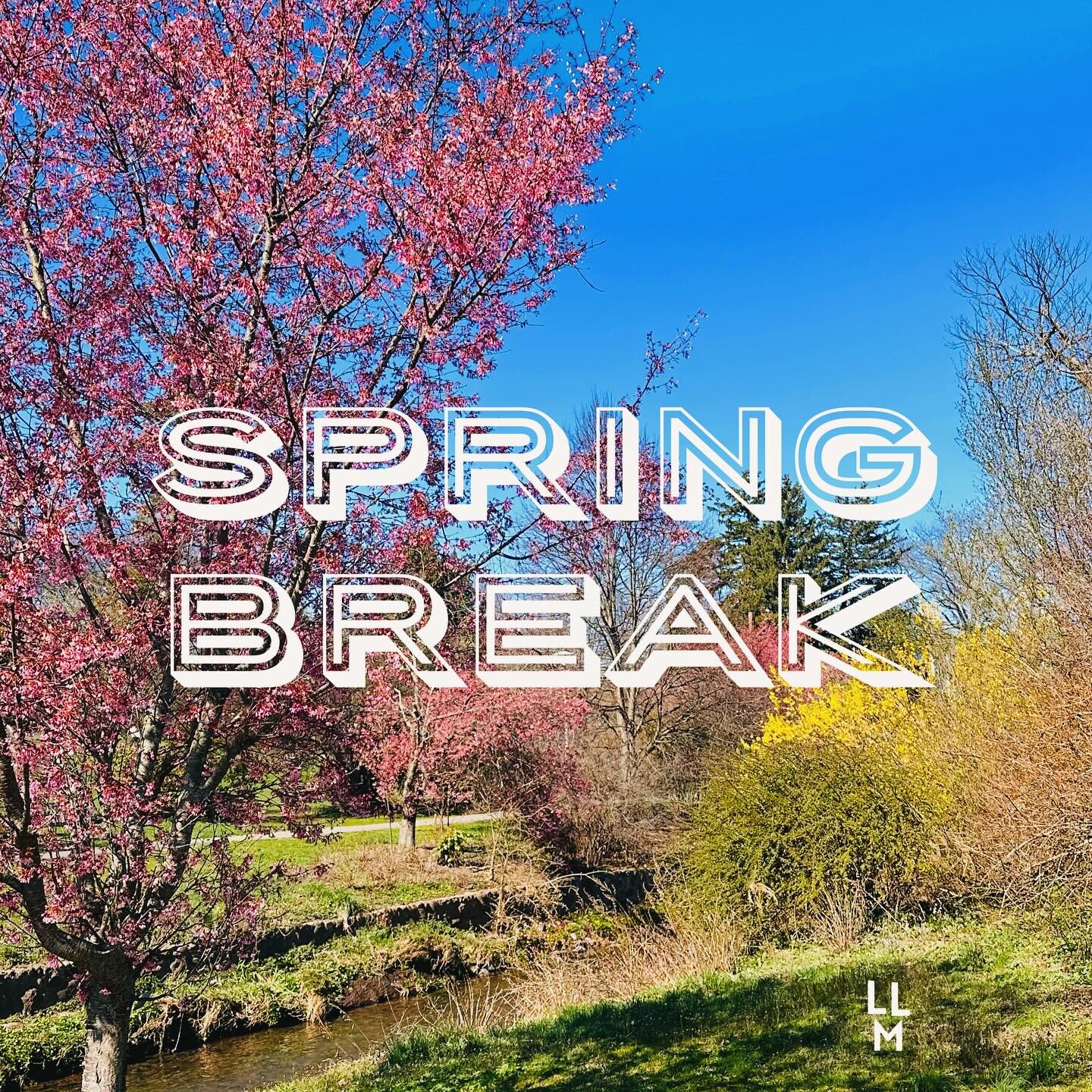 ✌️🌸🌳 Hope you have a great spring break friends! Taking some time off with my family. See you in a week 🌳🌸✌️ #livelovemaplewood #maplewoodnj #mapso #soma #maplewood