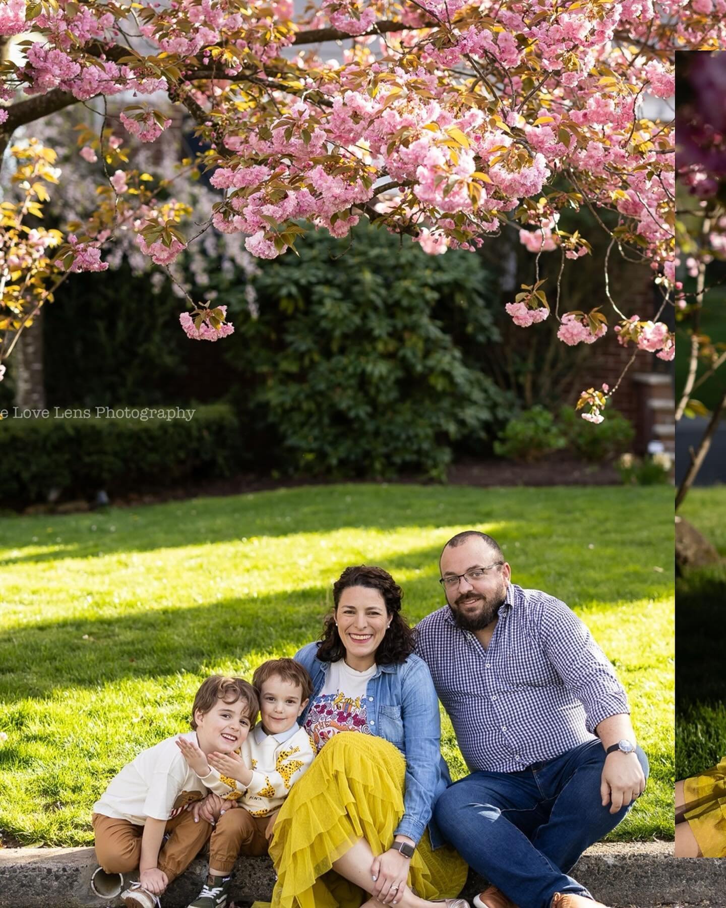 So glad we waited for their cherry blossom tree to burst! 🌸🌸 Gorgeous session at this family&rsquo;s home on a perfect spring evening last weekend. Don&rsquo;t want to give away too much yet so just sharing a few for now🌸🌸 #livelovelens 🔗 in bio