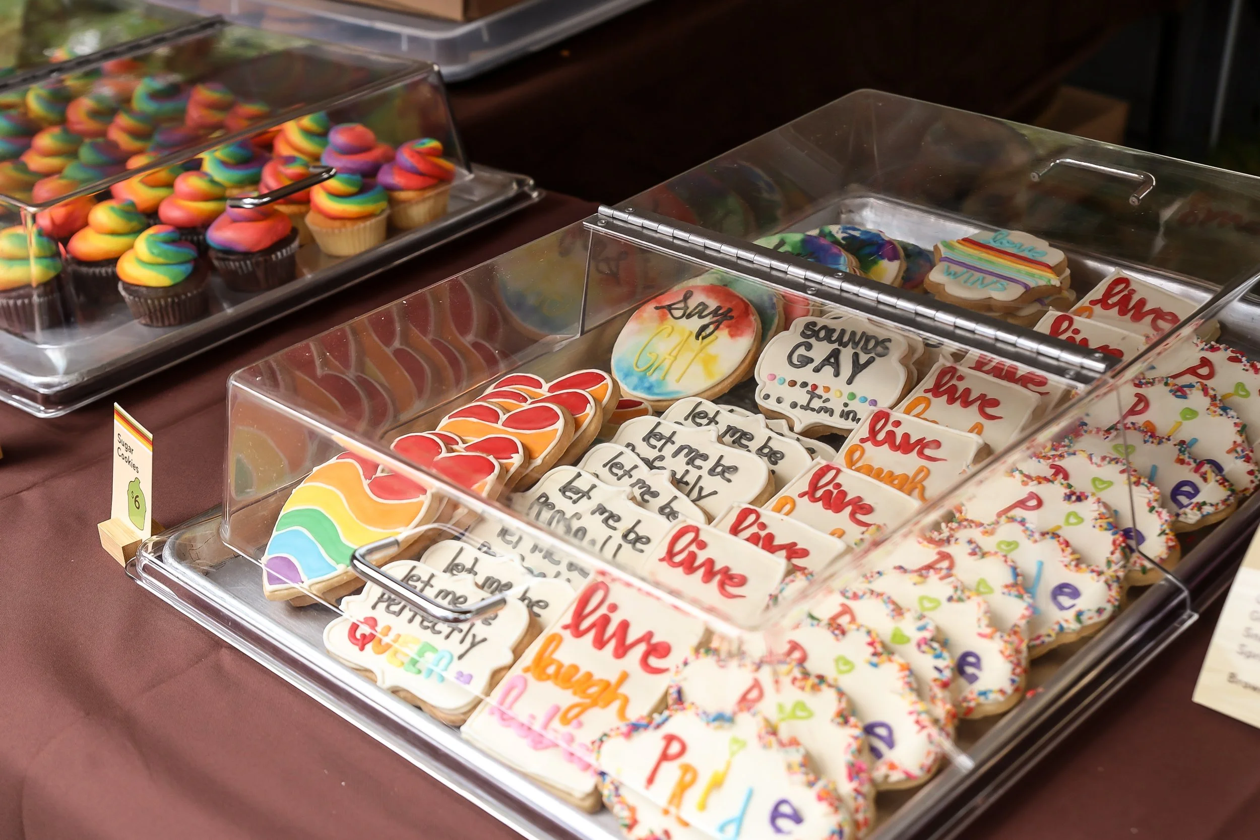 Pride 2024_Live Love Lens Photography-30.jpg