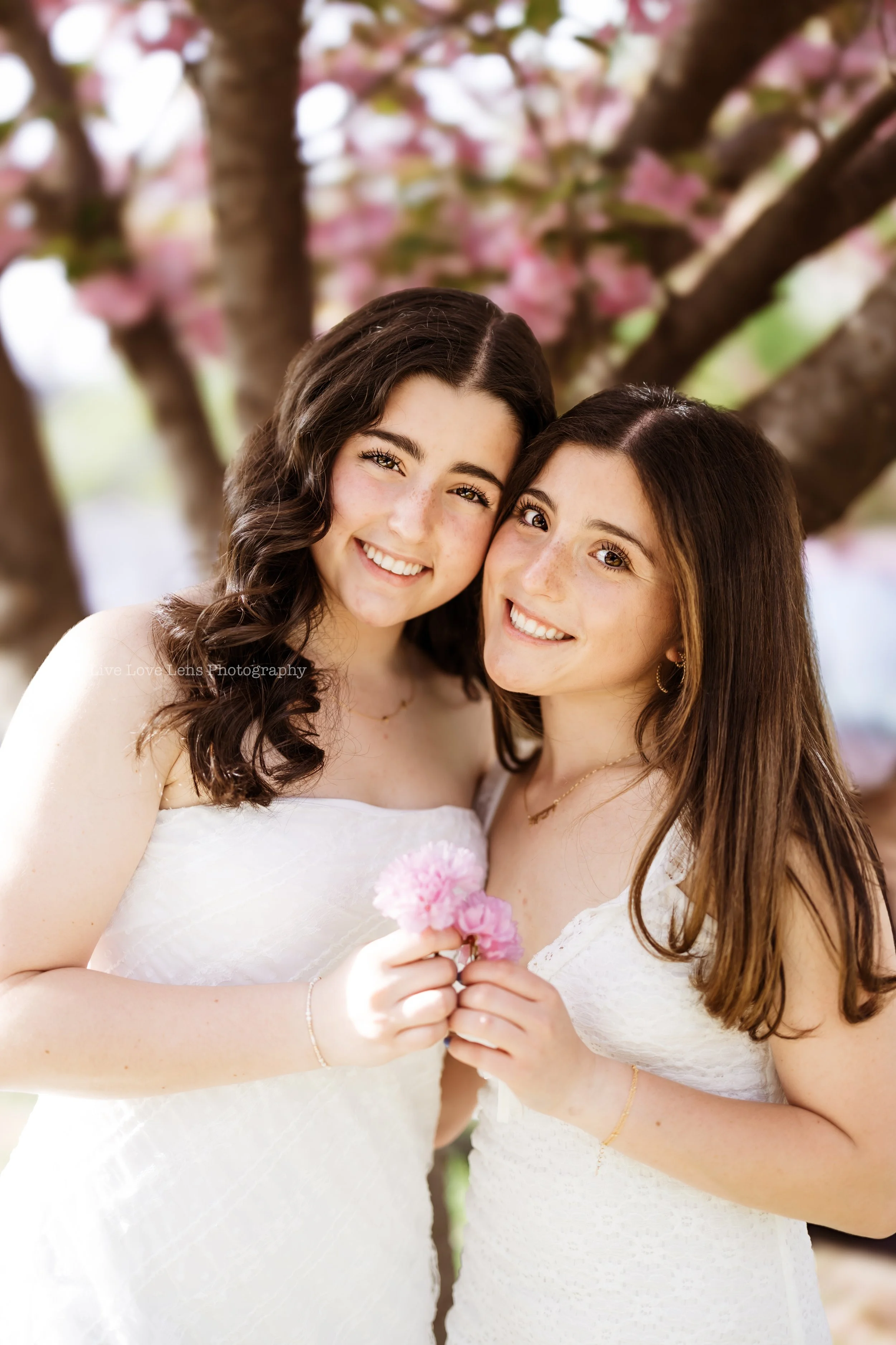 Schenker Grad 2025-7.jpg