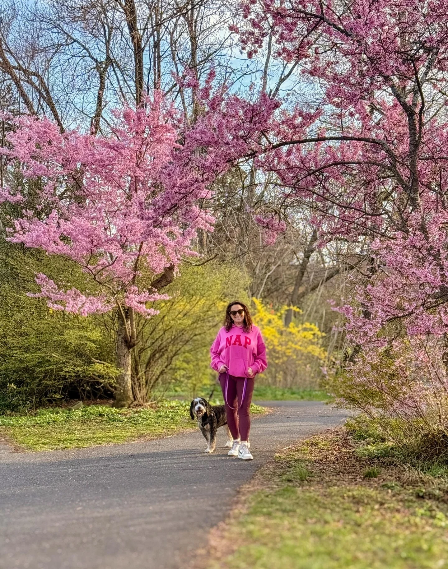 A few of my favorite things featured in 1st pic - any guesses?? 💓 My local park - and one of my favorite spots for family photos - is in bloom and I cannot get enough!! 🌸🌸 
#livelovelens
#livelovemaplewood 

@missharleyrox 
@maplewoodmemorialpark