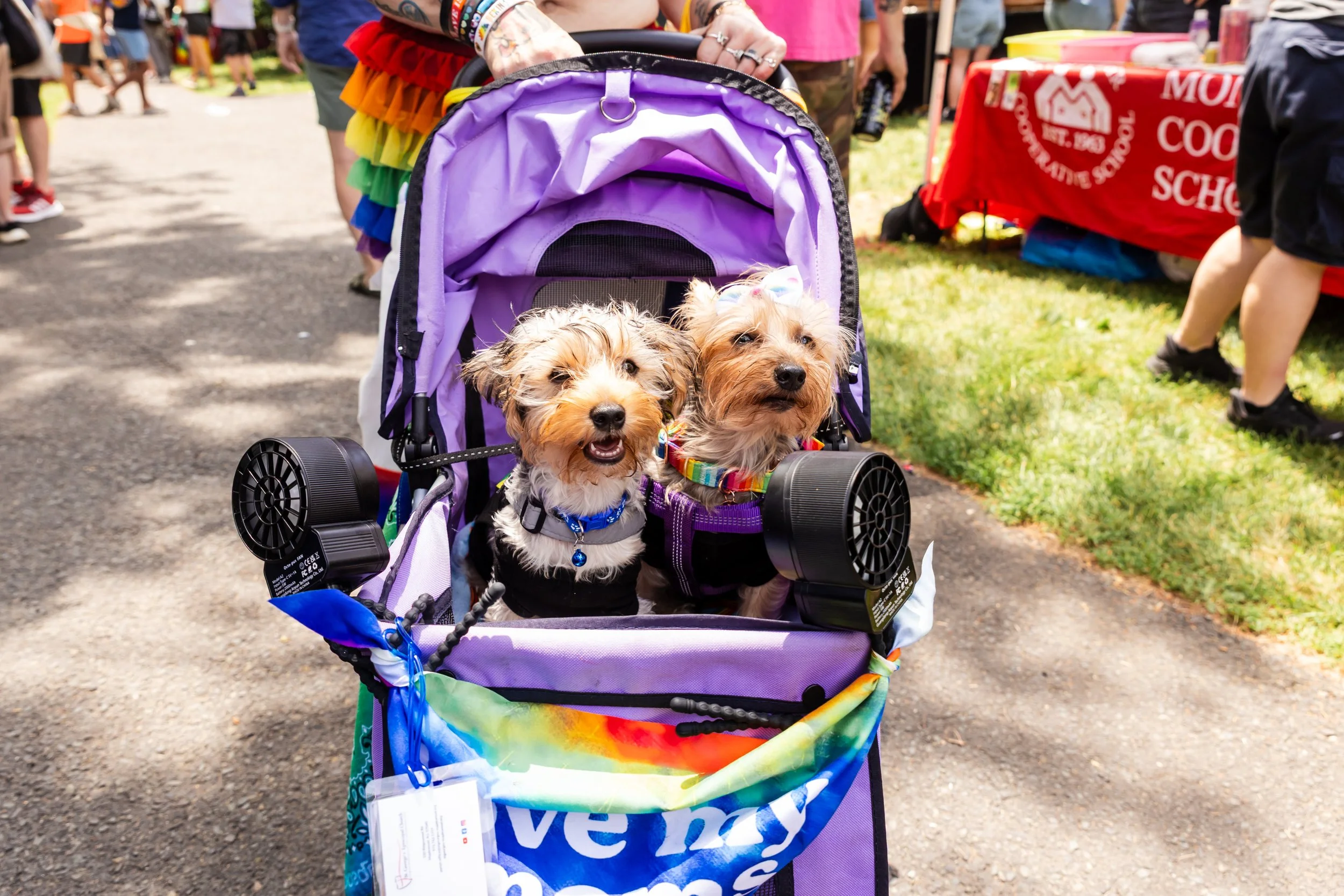 Pride Fest 2026-8.jpg