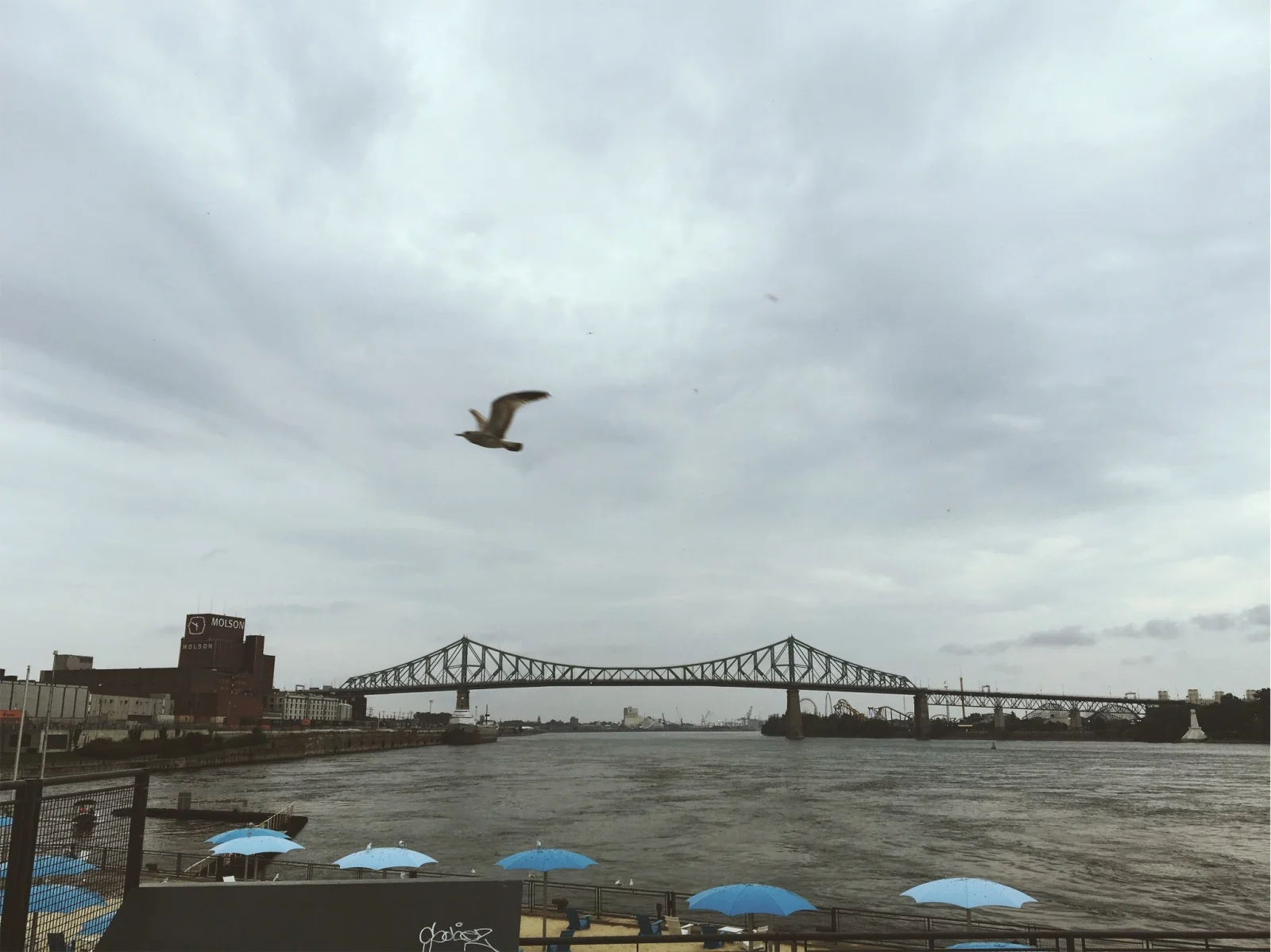 vsco5a792f0105633.jpg