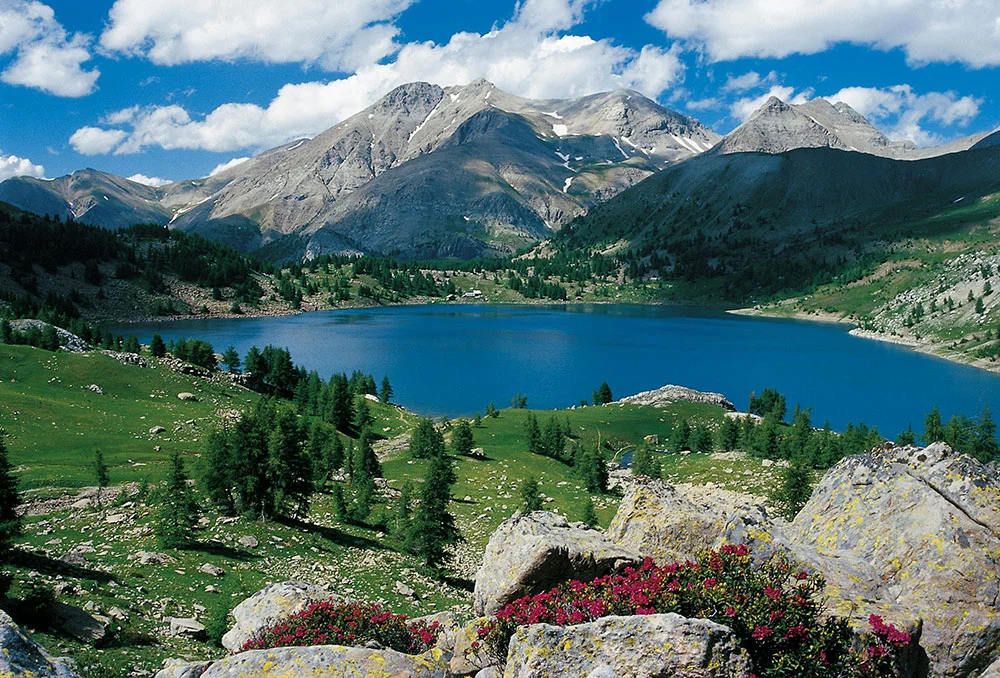 La Val Roja è un paesaggio unico: in soli 40 chilometri, da Ventimiglia a Briga Alta, si passa da un paesaggio marittimo, ad una stretta e tortuosa gola di canyon, ad una spettacolare apertura in un ambiente alpino. L'inizio della maestosa Valle delle Meraviglie, nel Parc du Mercantour. In alternativa al percorso con l'auto, una suggestiva linea ferroviaria collega Ventimiglia a Limone Piemonte, in poco più di un'ora di viaggio. Val Roja is an unforgettable hike: in only 40 kilometres from Ventimiglia to Briga Alta it changes from a coast line walk to pass through a narrow tortuous gorge before arriving in a spectacular alpine valley, the beginning of the Valle delle Meraviglie in the Parc di Mercantour. An alternative is a trip by car following the suggestive railway line which connects Ventimiglia to Limone Piemonte in a journey which lasts little more than an hour.