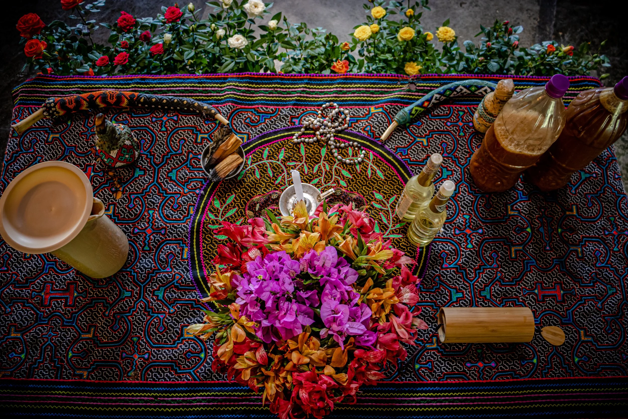 Ayahuasca Altar.jpeg