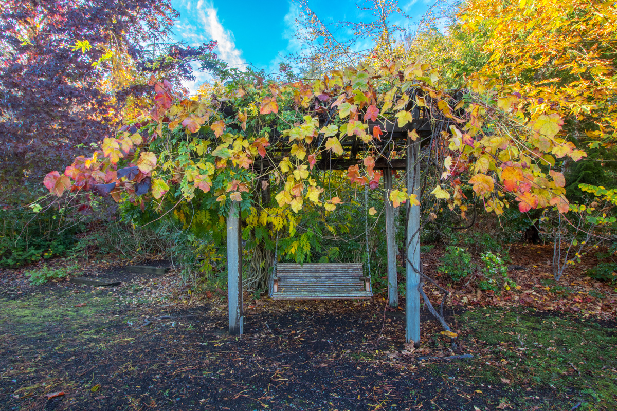 7c Arbor Swing.jpg