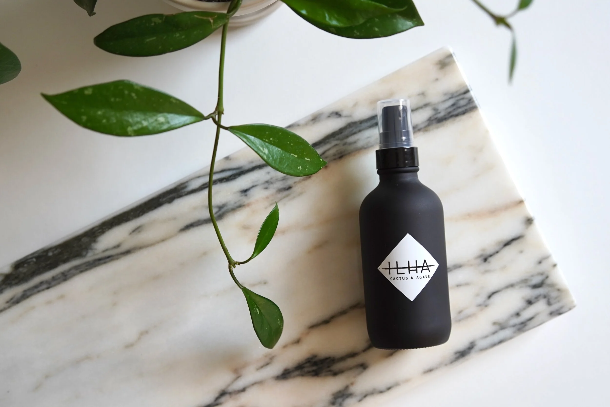 Room Linen Mist_CactusAgave.jpeg