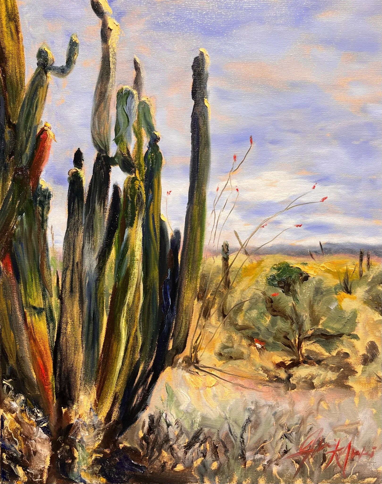 Saguaros