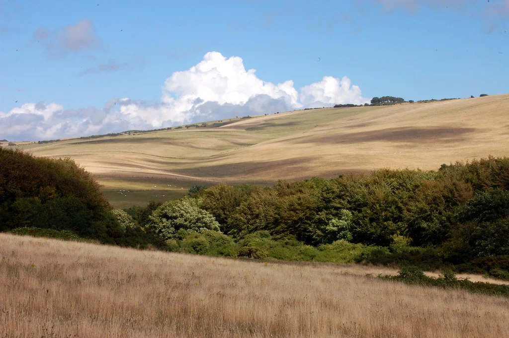 Silver £140 per expedition or book any 2 for £265 15-17th April 2019 (South Downs - suitable as Practice expedition only) 31st May- 2nd June 2019 (Dartmoor- suitable as Practice or Assessed expedition) 16th- 18th August 2019 (Purbeck- suitable as Practice or Assessed expedition)