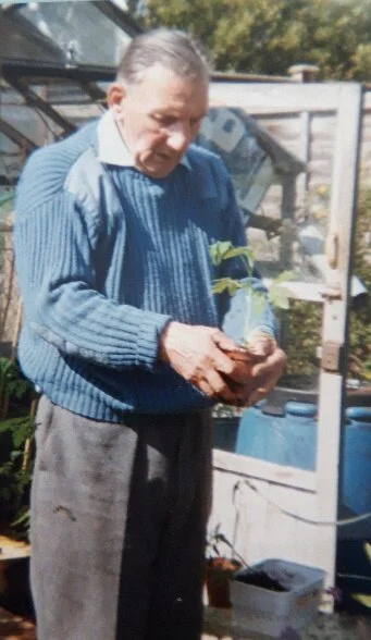 Mandy's Dad - potting on.jpg