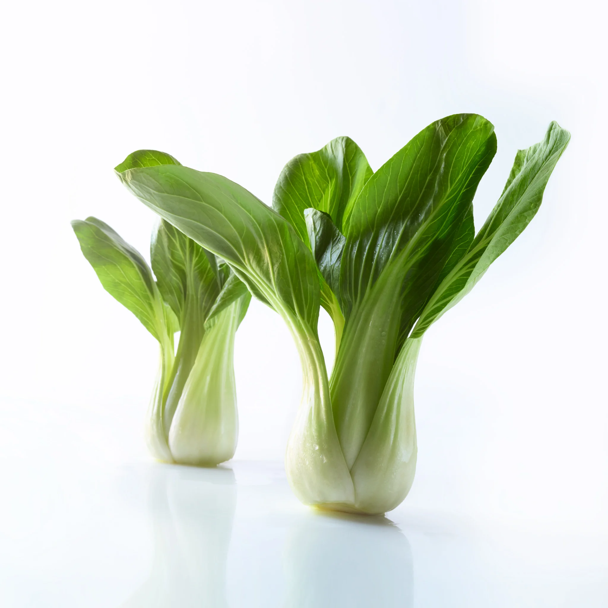 trevor pearson food 08.jpg