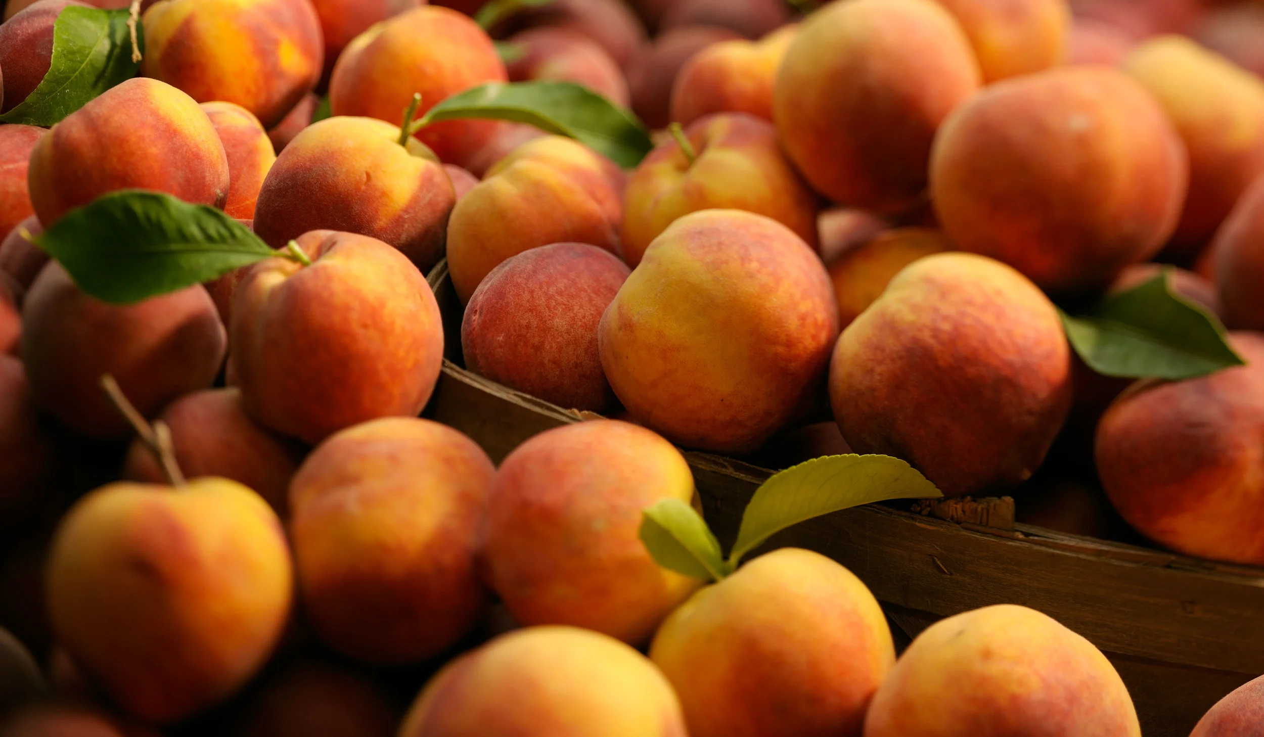 trevor pearson food 76.jpg