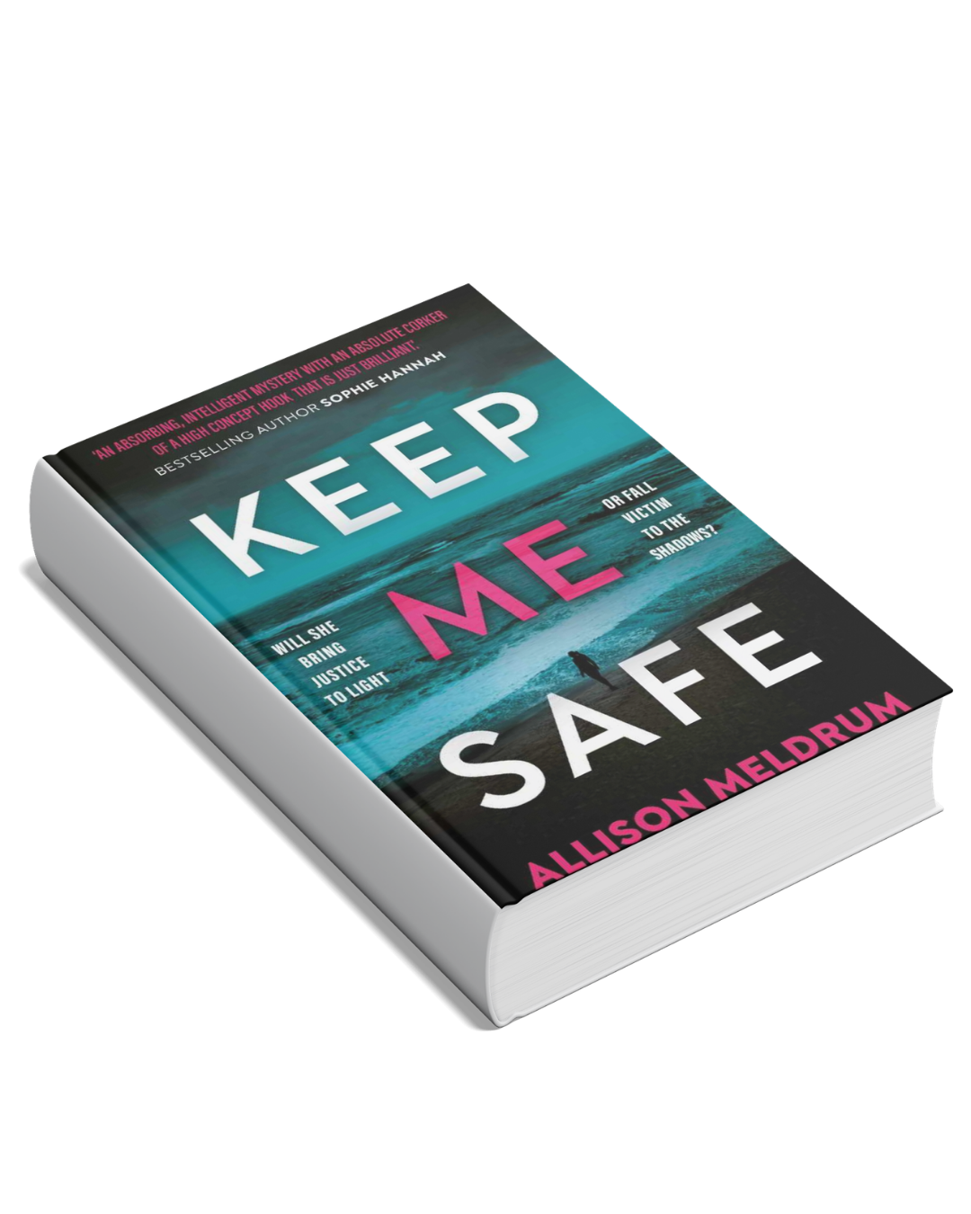 a mock up of a book wih the cover of Keep Me Safe by Allison Meldrum