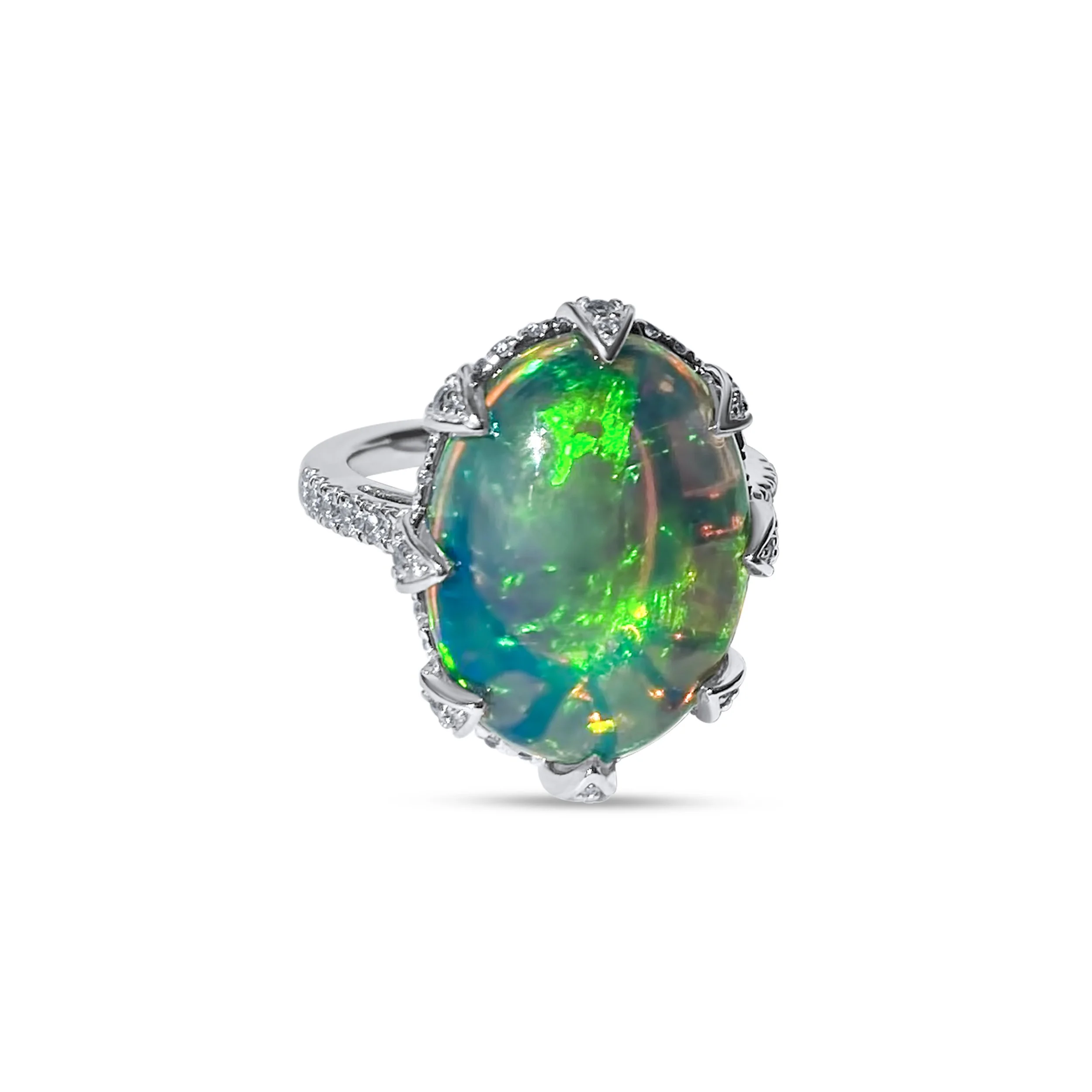 Copy of IMG_1683.JPG