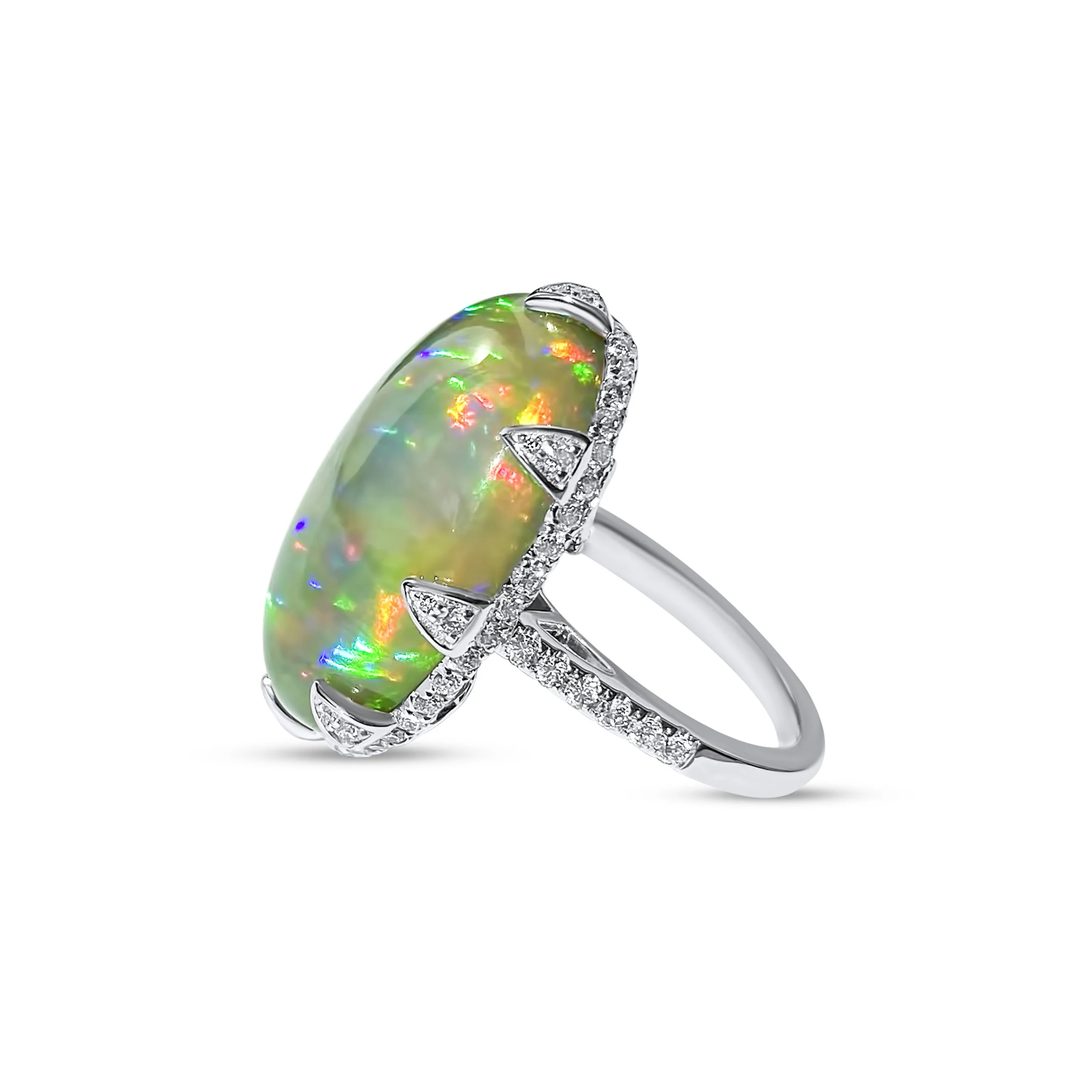 Copy of IMG_1700.JPG