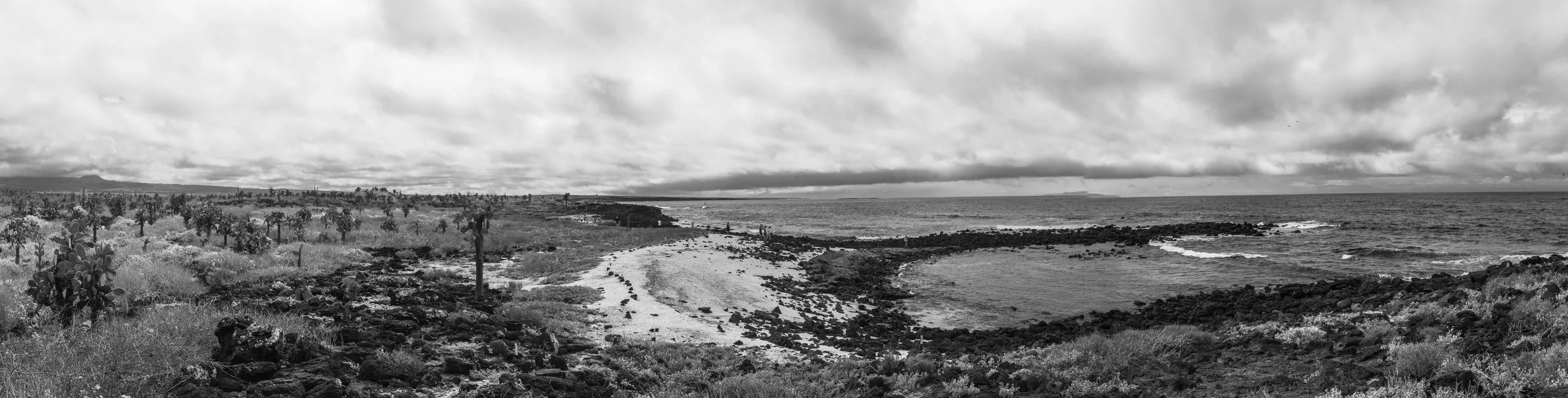 _MG_7565-Pano.jpg