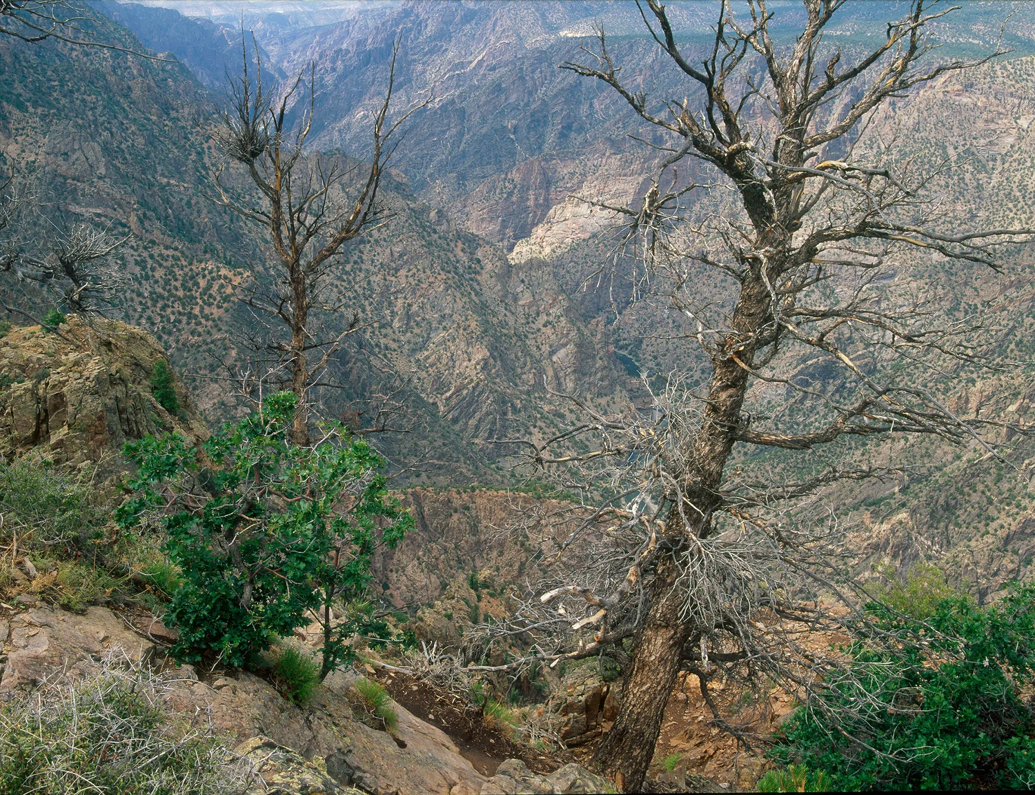 SquareHG Colorado Black Canyon Warner Point.jpg