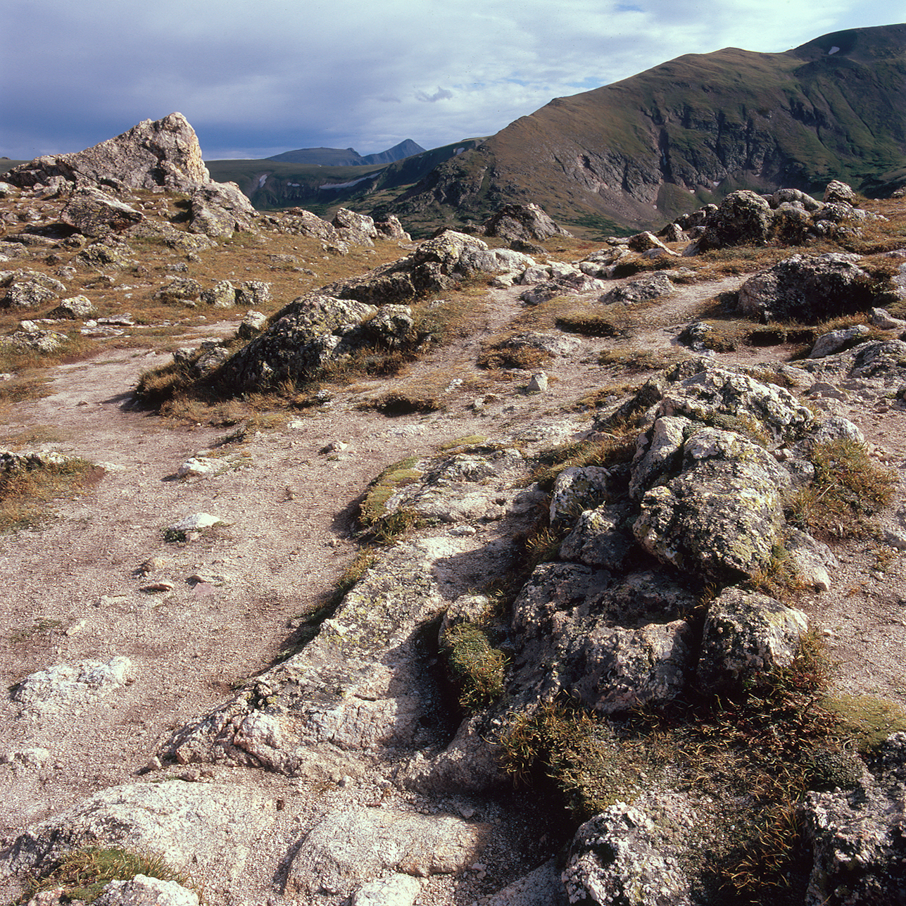 SquareHG RMNP Marmot Point.jpg