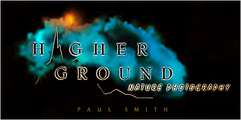 Higher Ground Nature Photography