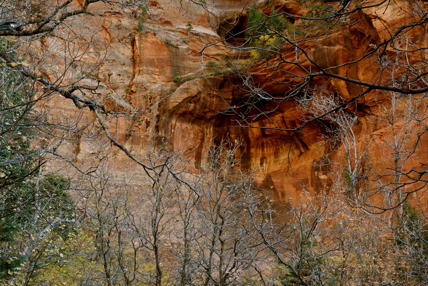 SquareHG Zion 2016 North Wall of Beatty Point.jpg