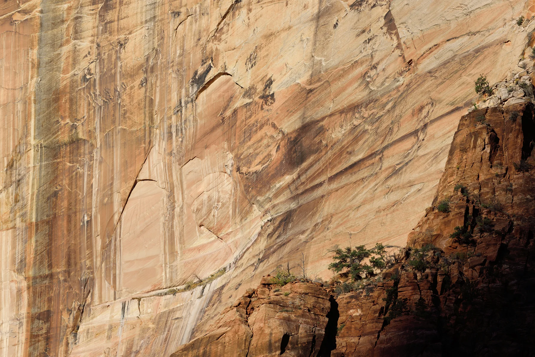 SquareHG Zion 2016 Sunrise on the Streaked Wall.jpg