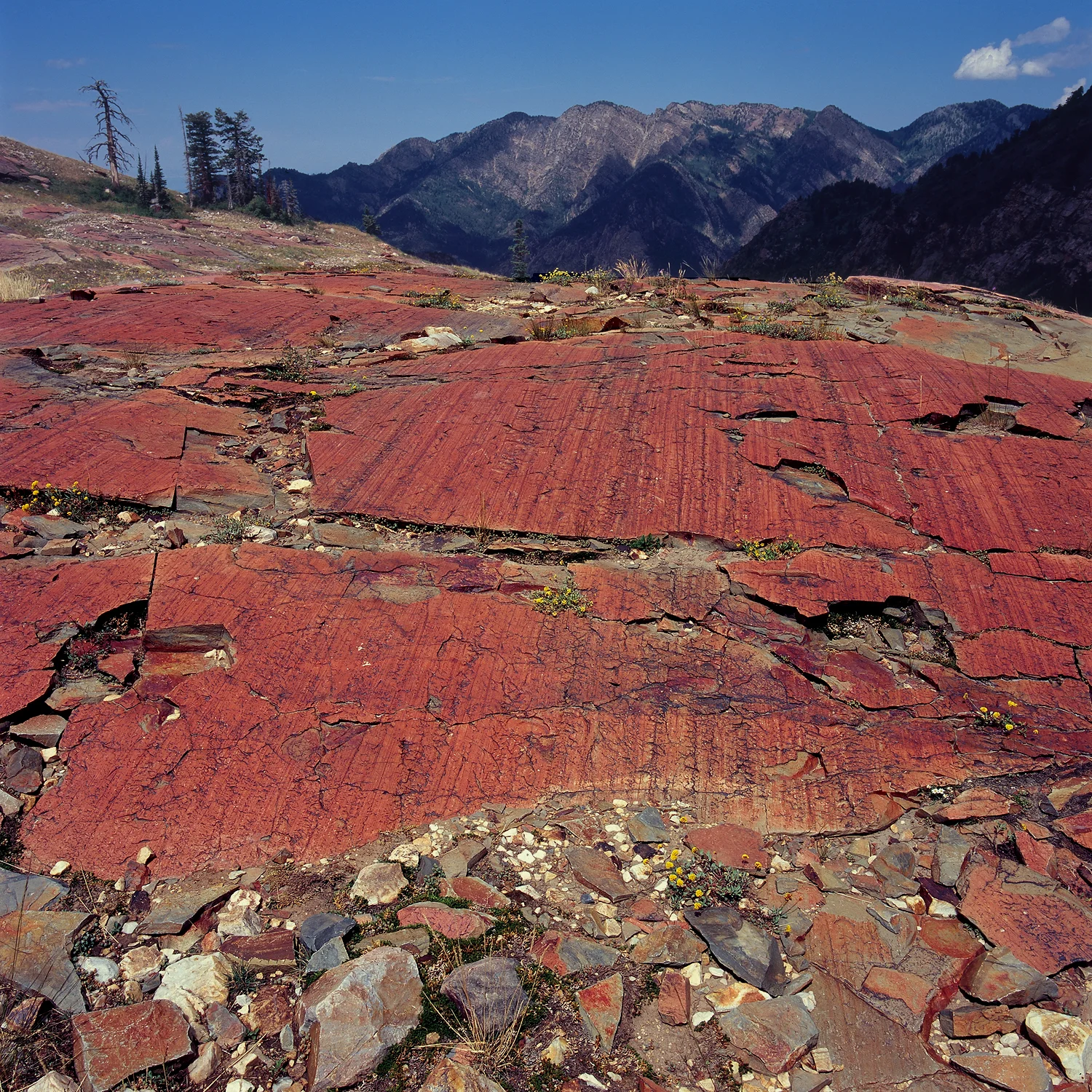 SquareHG Wasatch Redrock in the Twin Peaks Wilderness above Lake Blanche and Sundial.jpg