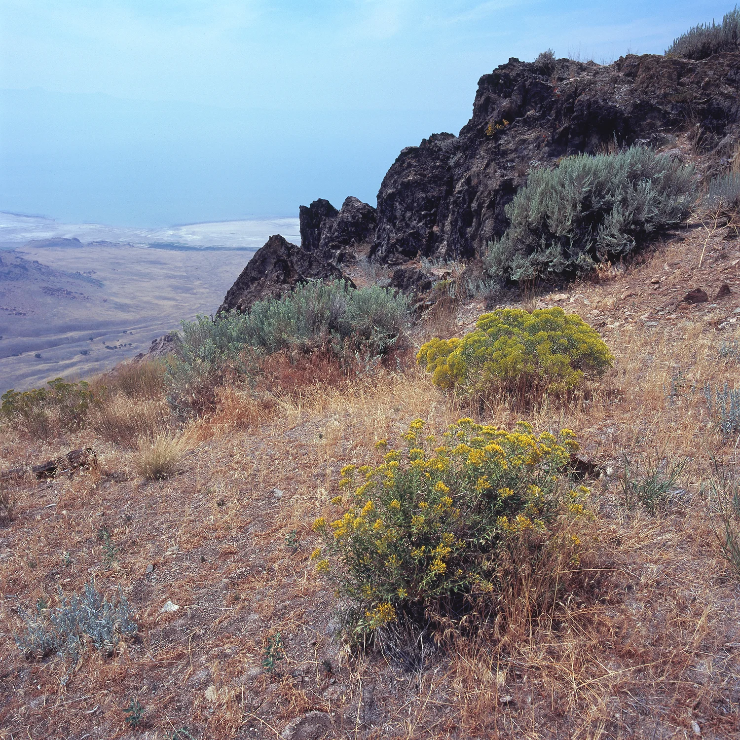 SquareHG Utah Antelope Island Climbing towards Frary Peak.jpg