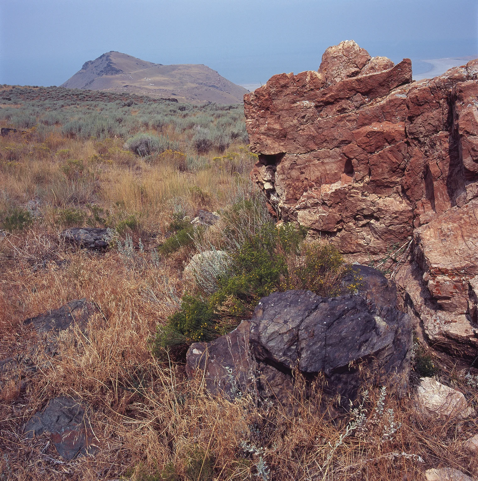 SquareHG Utah Elephant Head on Antelope Island.jpg