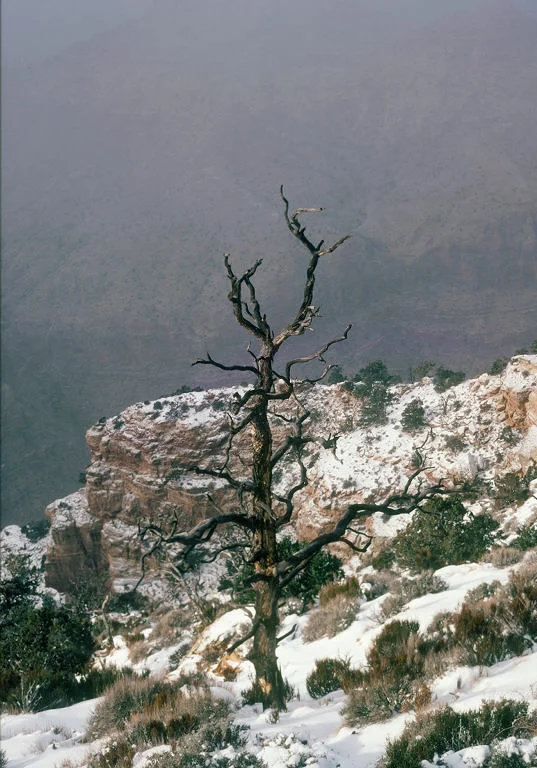 SquareHG GC Foreground sunlight, canyon fog.jpg