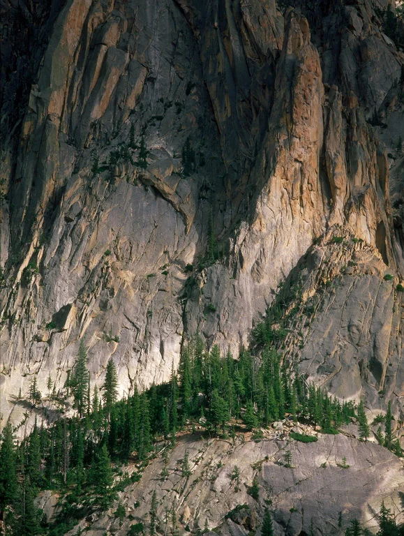 SquareHG Idaho Grand Mogul Face.jpg