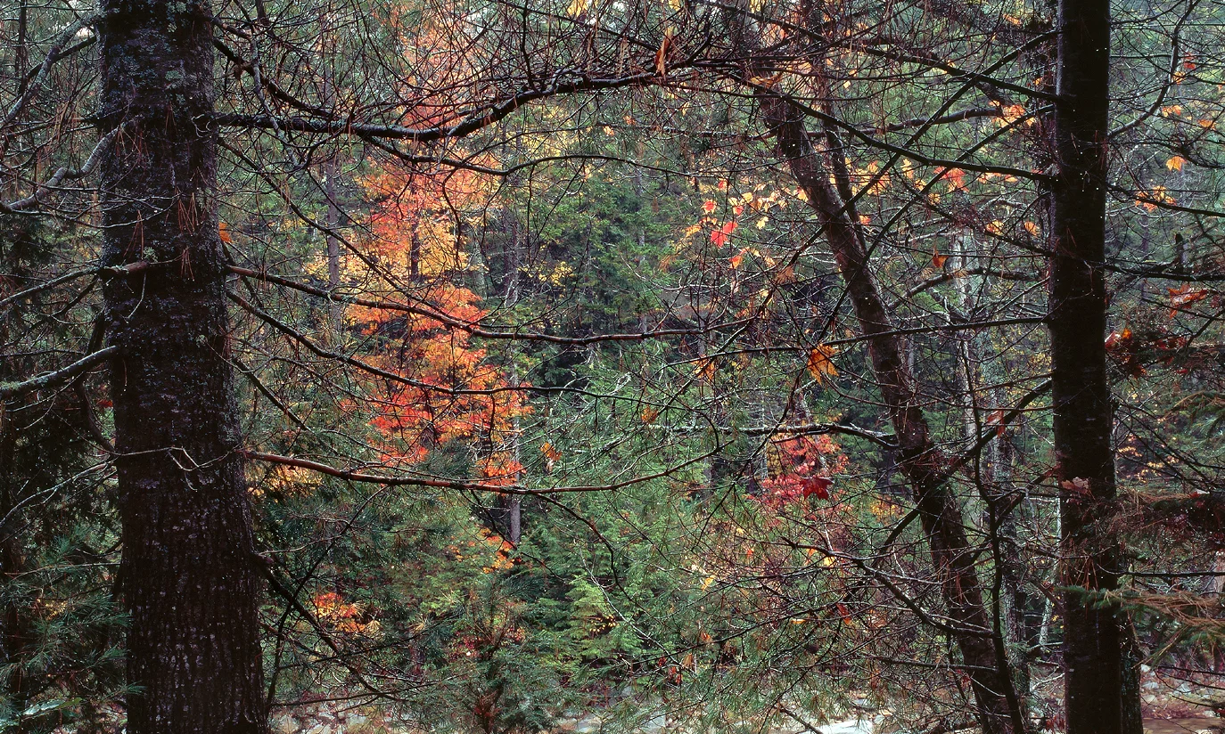 SquareHG NH River Trail.jpg