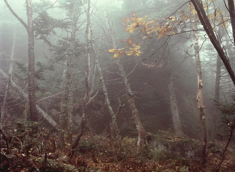 SquareHG NH Carr Mountain.jpg