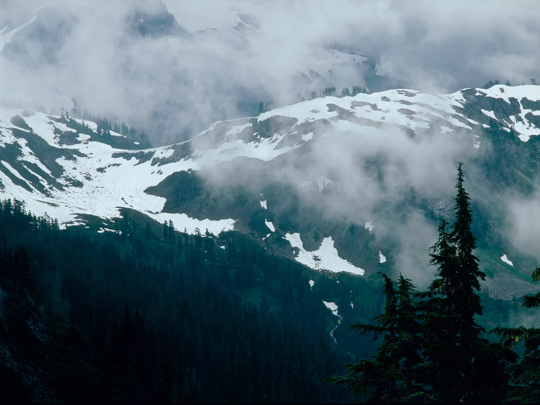 SquareHG NC Baker Snoqualmie 3.jpg