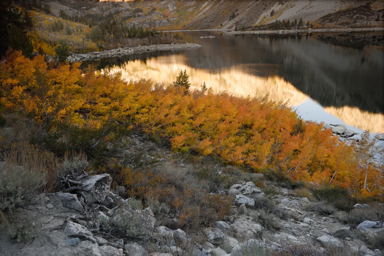 Sierra KP MC 6 355.jpg