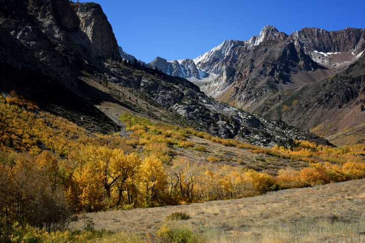 Sierra FB MC 6 283 copy.jpg