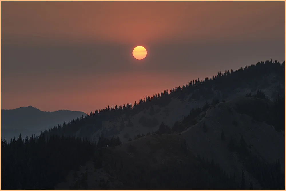 Olympic FB Sunset Border.jpg