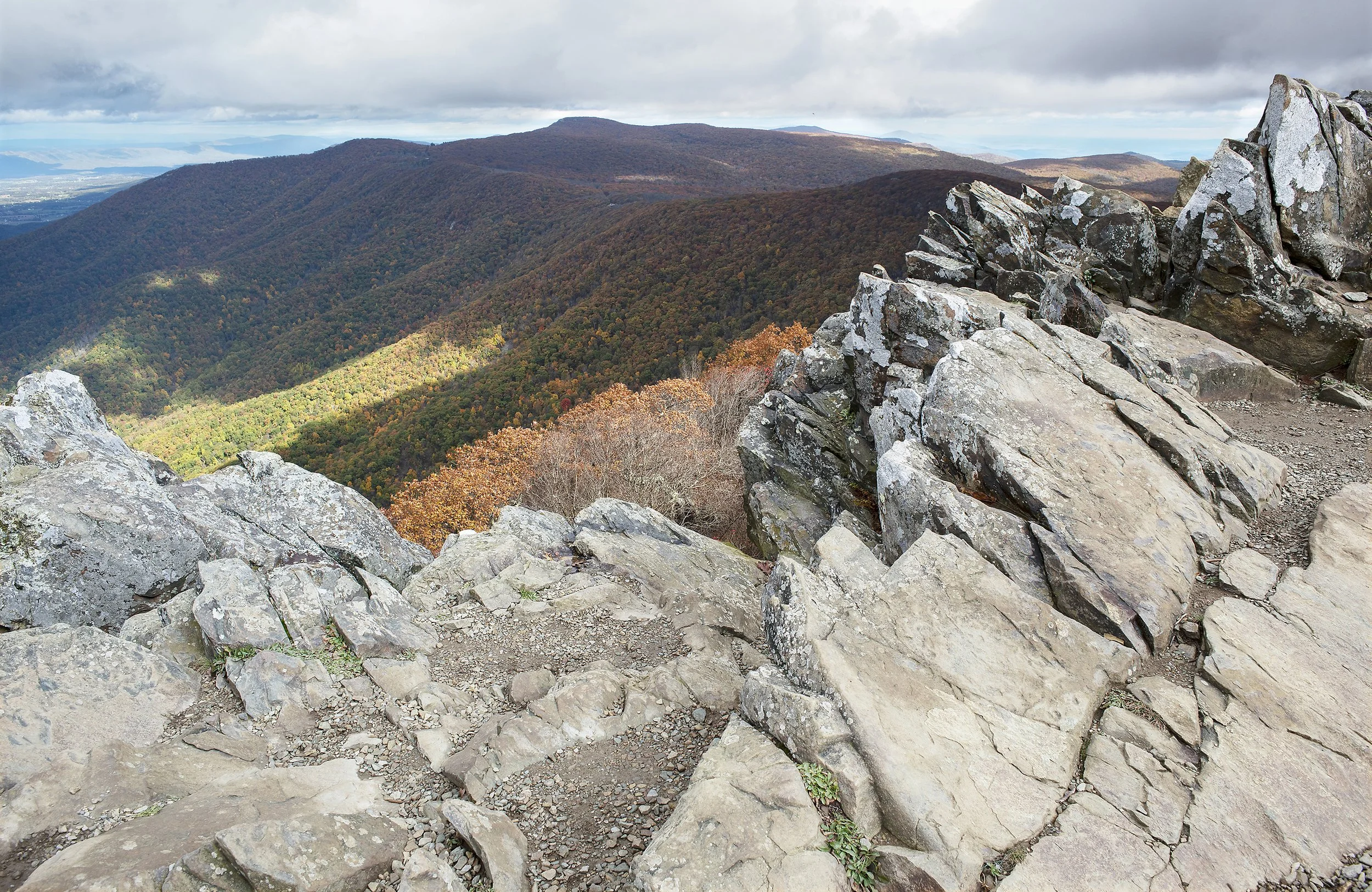 Shenandoah Hawksbill Summit 0832 Cropped WEBSITE.jpg