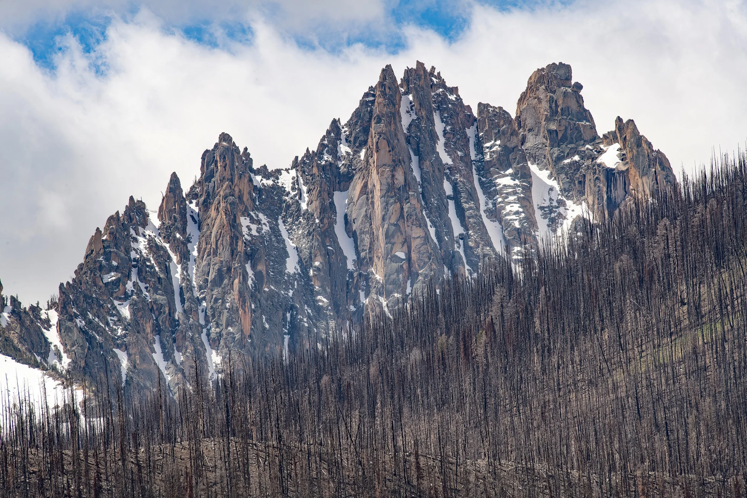 UI 1875 Heyburn and wildfire-sharpen-Focus WEBSITE.jpg