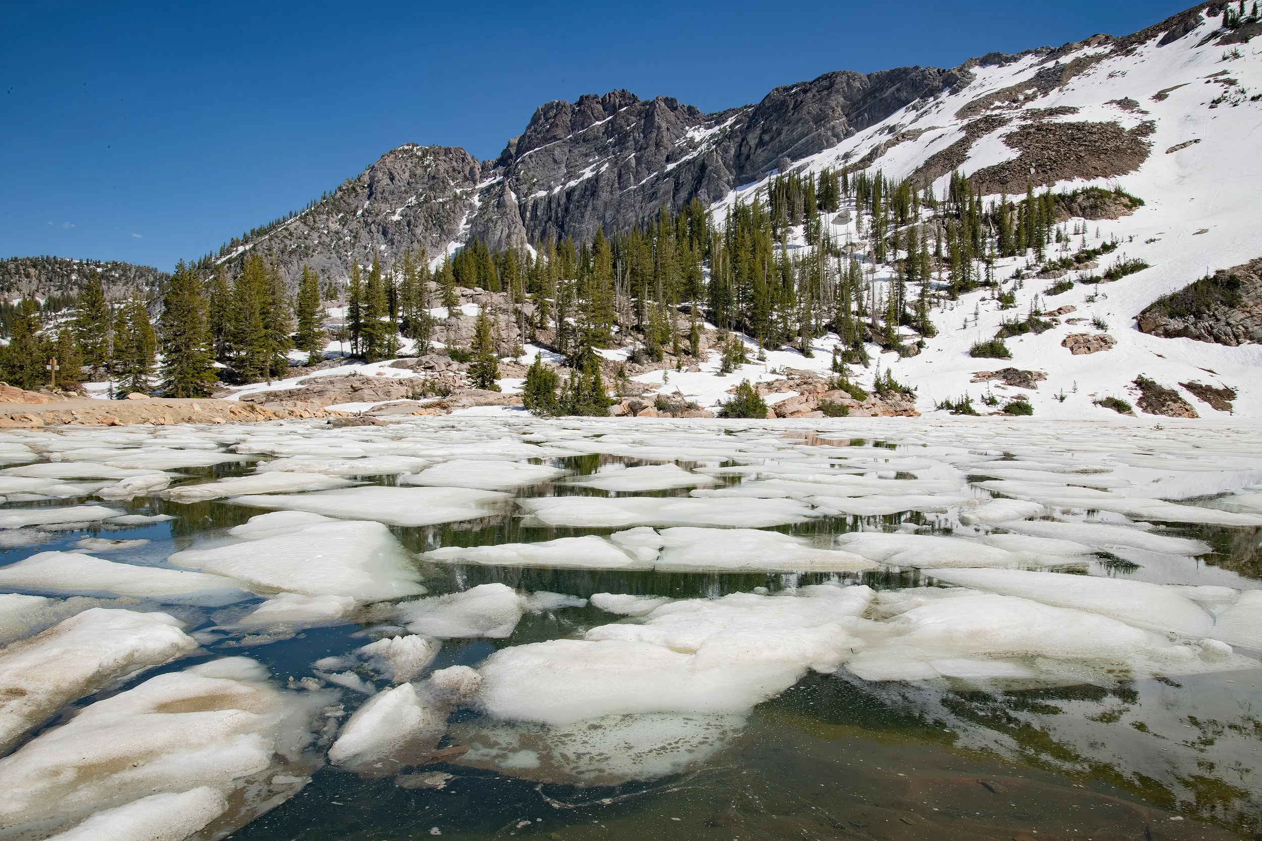 UI 1659 Secret Lake Wasatch-sharpen-Focus WEBSITE.jpg