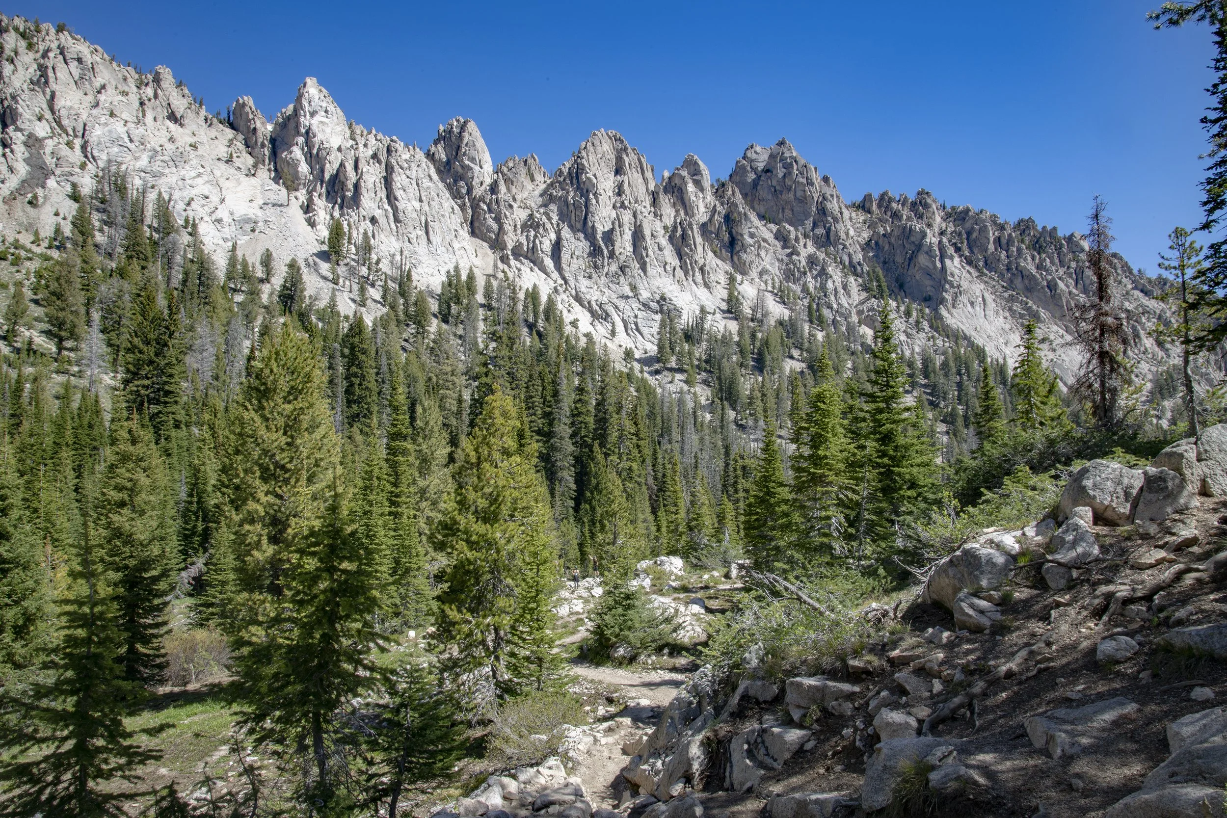 UI 2180 Spires on unnamed peak Sawtooth Lake Trail WEBSITE.jpg