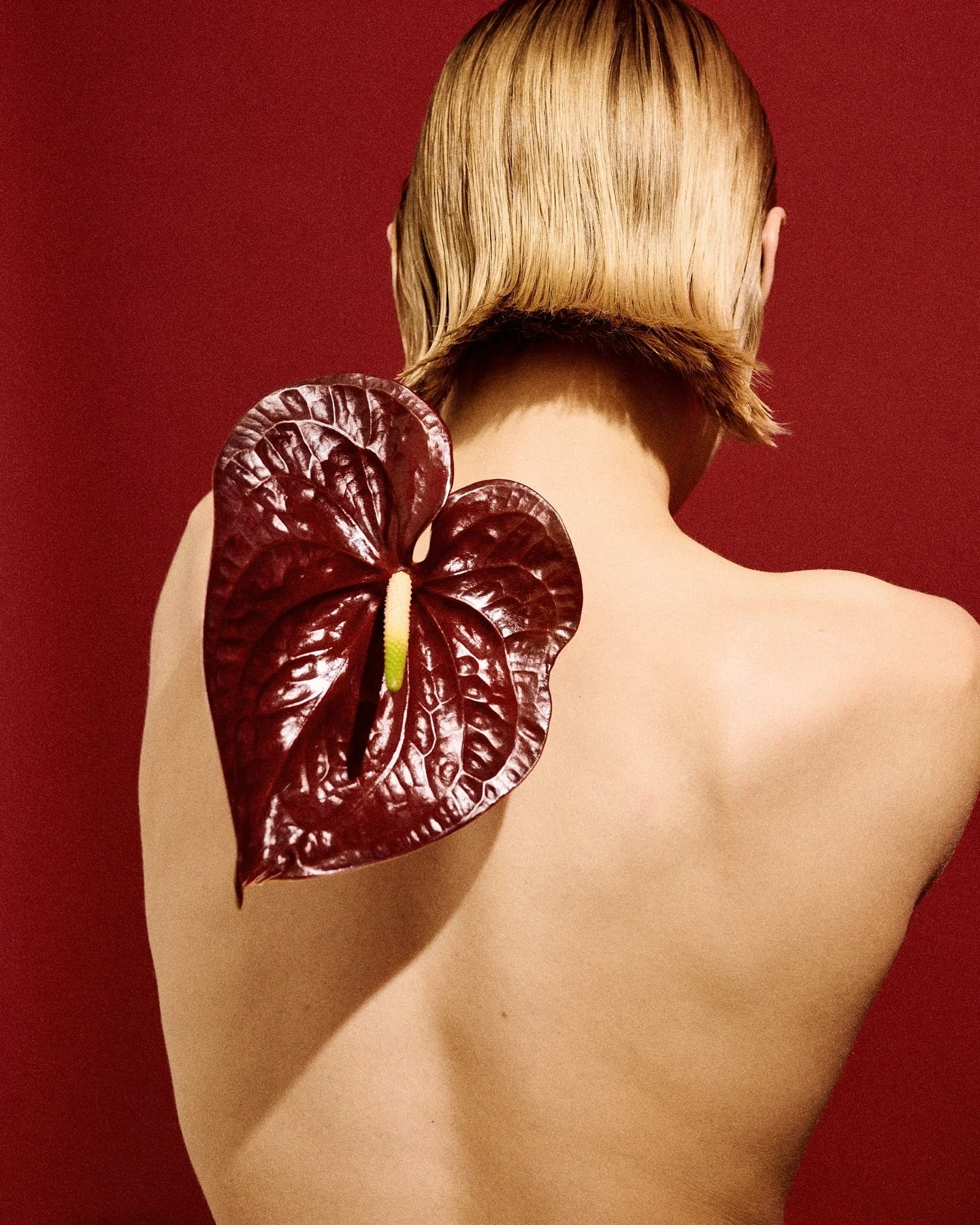 Photography: @rokasdarulis 
Model: @gabija.kure 
Make up: @vvm_face 
Hair: @joqaile 
Creative and production: @kunascreative