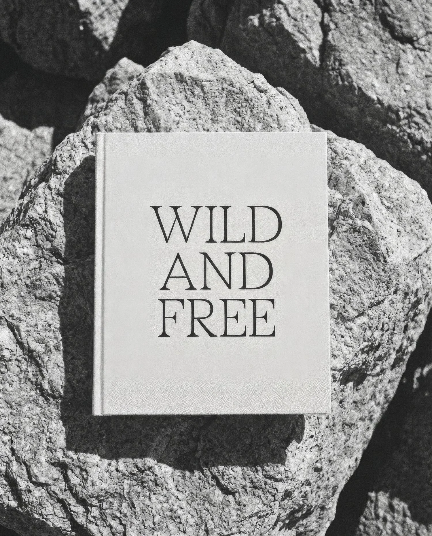 2025_08_27_WILD_AND_FREE_bookbw.jpg.jpg