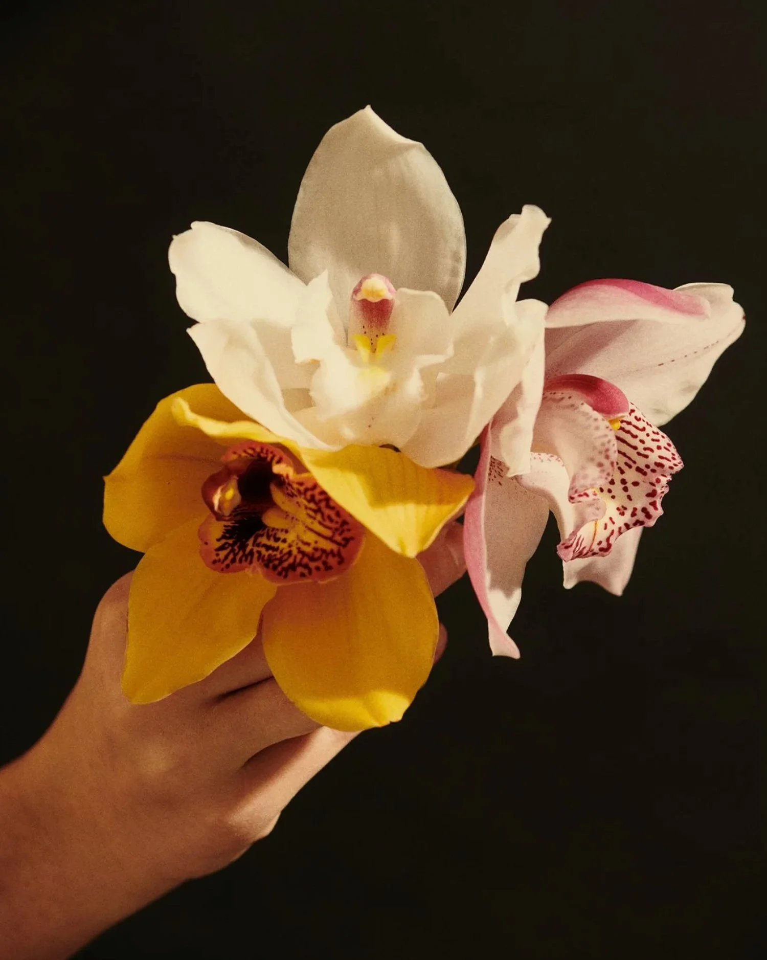 Screenshot 2026-01-14 at 11.28.45.jpg