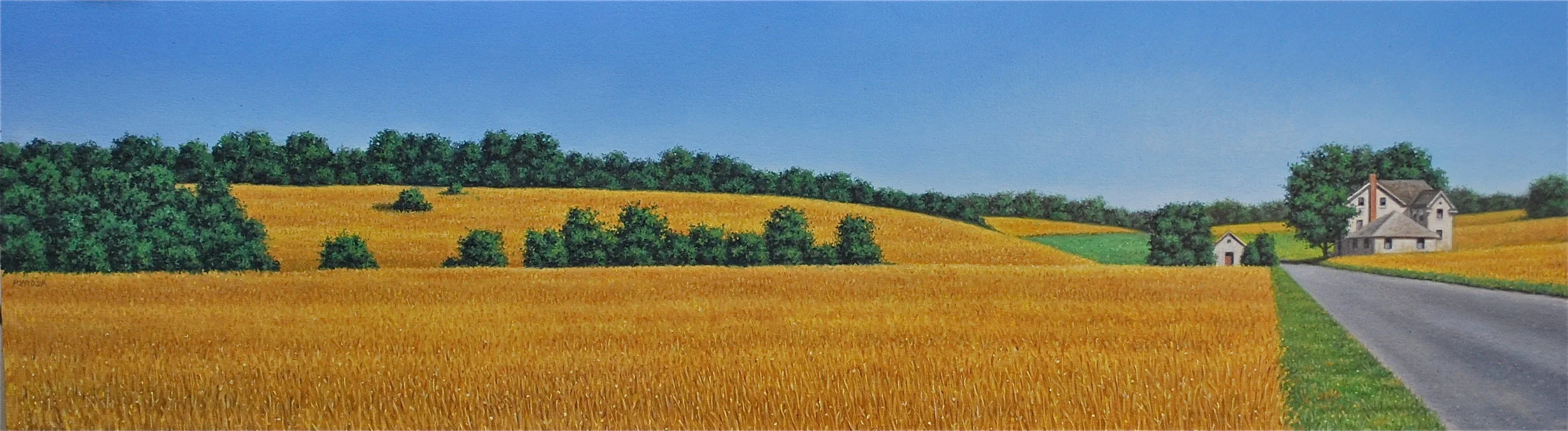 054.golden fields 10x30.JPG