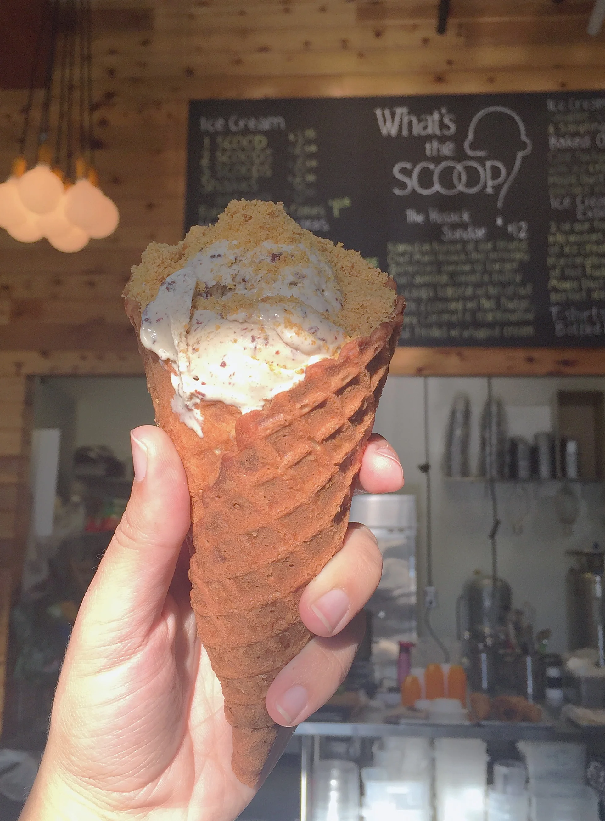  Frozen treats from "What's the Scoop" in Portland, Oregon 