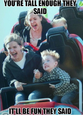 Hands Up Life Is A Roller Coaster Shay S O Kay